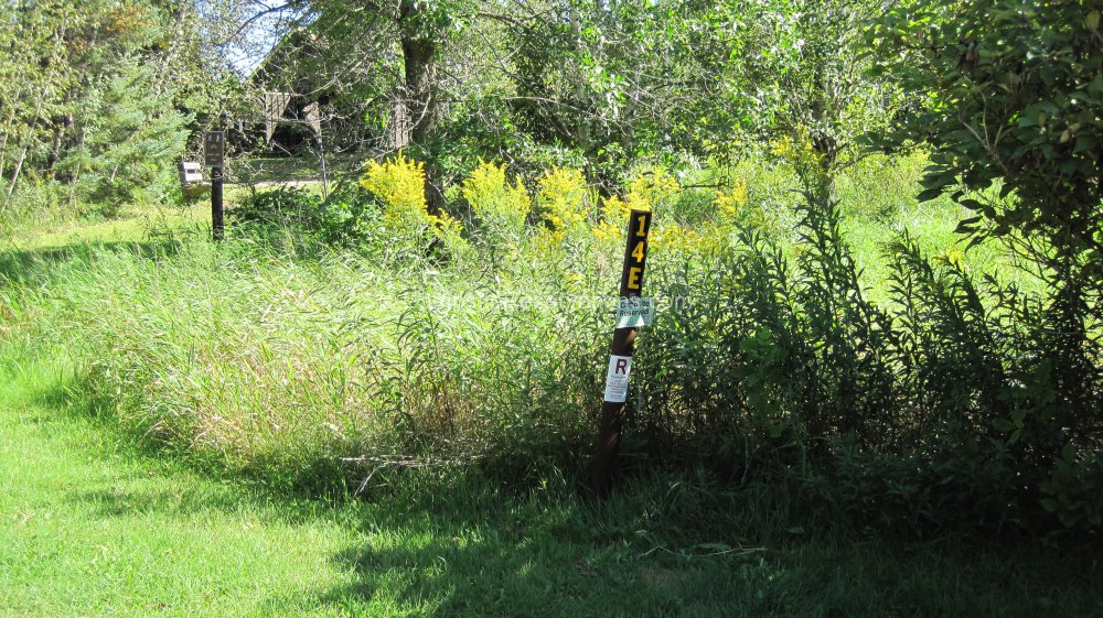 Campsite 14e in Moose Lake State Park Campground at Moose Lake State